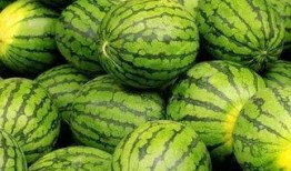 吃瓜网每日大赛 吃瓜网站,揭秘热门事件背后的真相与笑料